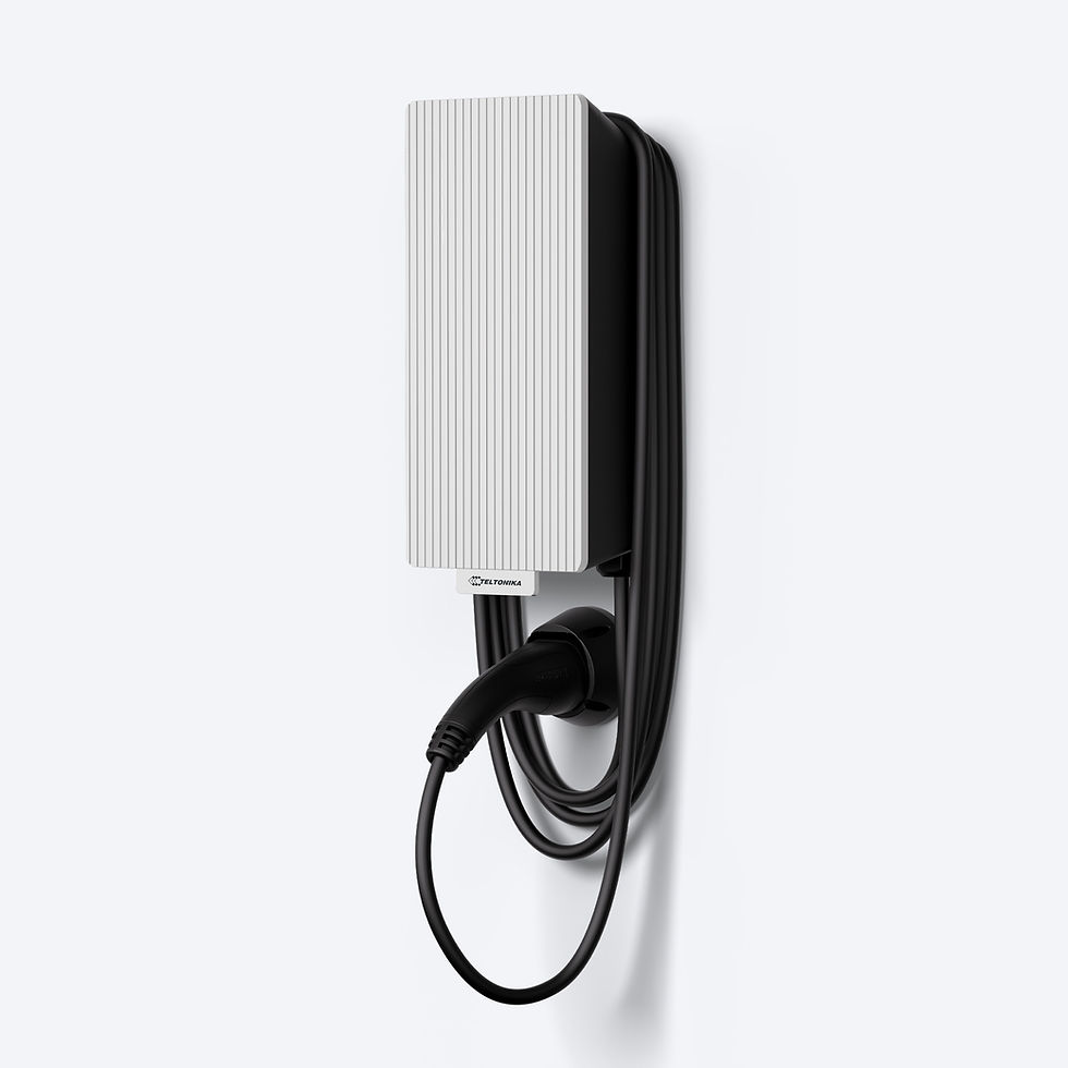 Teltonika Energy EVC 2 — EVC2002100S0